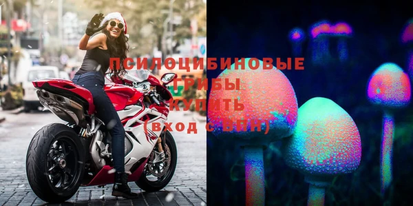 МДМА Богданович