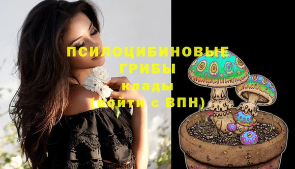 не бодяженный Богородск