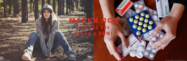 винт Богородицк